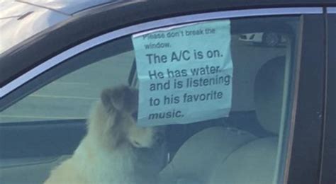 Please dont break the window. The A/C is on, he has water